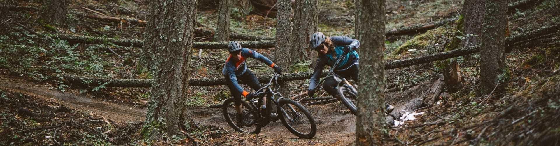 VTT électriques (VTTAE)